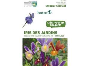 20 bulbes d’Iris Hollandica Tiger Stripe Mélange – Couleurs Variées 20 bulbes d’Iris Hollandica Tiger Stripe Mélange – Couleurs Variées