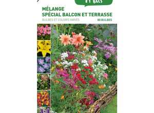80 bulbes de Mélange spécial Balcon Terrasse – Couleurs Variées 80 bulbes de Mélange spécial Balcon Terrasse – Couleurs Variées