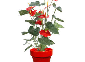 Pot horticole en terre cuite émaillée Rouge – D25 x H23