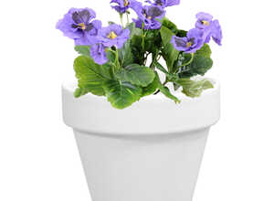 Pot horticole en terre cuite émaillée Blanc – D14 x H12 Pot horticole en terre cuite émaillée Blanc – D14 x H12