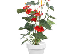 Pot horticole en terre cuite émaillée Blanc – D25 x H23 Pot horticole en terre cuite émaillée Blanc – D25 x H23
