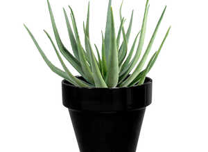 Pot horticole en terre cuite émaillée Noir - D10 x H8.5 Pot horticole en terre cuite émaillée Noir - D10 x H8.5