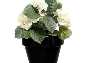Pot horticole en terre cuite émaillée Noir – D19 x H17 Pot horticole en terre cuite émaillée Noir – D19 x H17