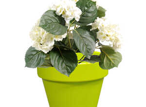 Pot horticole en terre cuite émaillée Anis – D19 x H17 Pot horticole en terre cuite émaillée Anis – D19 x H17