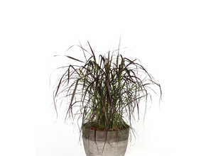 Petit pot rond Echo taupe 21,7L