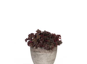 Pot rond Echo moyen taupe 37,5L
