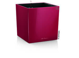 Cube Premium 40 Rouge Scarlet - kit complet Cube Premium 40 Rouge Scarlet - kit complet