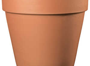 Vase Vaso Magno Antica en terre cuite - D60 x H54 Vase Vaso Magno Antica en terre cuite - D60 x H54