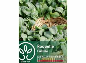 Roquette cultivée