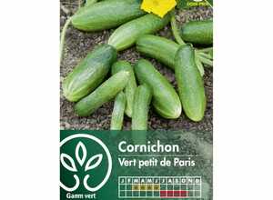 Cornichon 'Vert Petit de Paris'