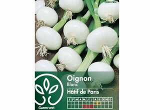 Oignon Blanc Hâtif de Paris