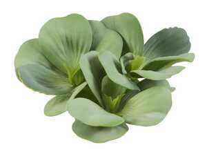 Plante de bassin Pistia verte artificielle - 17 cm