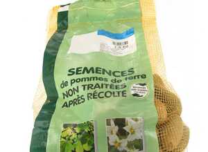 Pommes de terre Sarpo Mira calibre 28/35, 1,5 kg