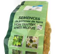 Pommes de terre Sarpo Mira calibre 28/35, 5 kg