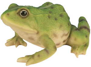 Grenouille verte 15cm