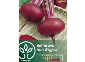 Betterave d'Egypte