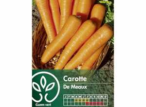 Carotte de Meaux