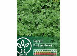 Persil frisé Vert Foncé Verbo
