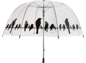 Parapluie transparent oiseaux sur un fil Parapluie transparent oiseaux sur un fil