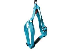 Harnais Turquoise 25/35cm Martin Sellier