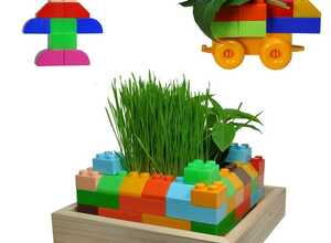 Mon 1er carré potager à construire
