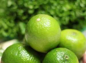 Lime de Tahiti
