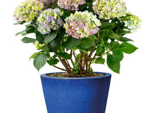 Pot rond bleu gamme Flamenco Ø 41 cm Pot rond bleu gamme Flamenco Ø 41 cm