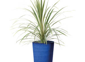 Pot rond haut bleu gamme Flamenco Ø 25 cm Pot rond haut bleu gamme Flamenco Ø 25 cm