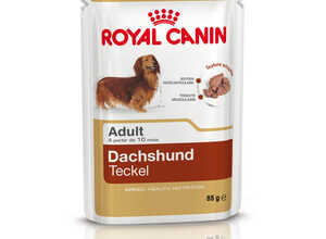 Sachet de nourriture pour Teckel Adulte Royal Canin - 85 gr