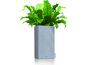 Pot carré haut gris gamme Canto color dimensions L40xl40xH75,8 cm Pot carré haut gris gamme Canto color dimensions L40xl40xH75,8 cm