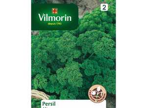 Persil frise alto