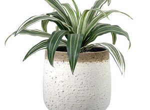 Pot boule chamottée Ø 20 cm Pot boule chamottée Ø 20 cm