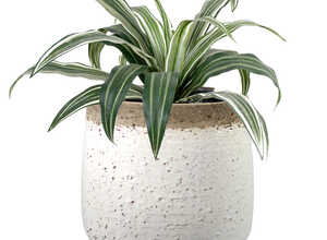 Pot boule chamottée Ø 24 cm Pot boule chamottée Ø 24 cm