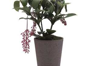 Pot conique Etrusca gris Ø 22,5 cm Pot conique Etrusca gris Ø 22,5 cm