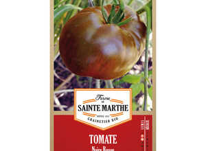 Tomate Noire Russe