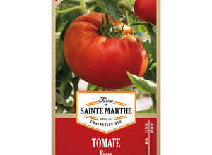 Tomate Russe