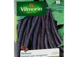 Haricot velour 200 g