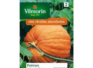 Potiron atlantic