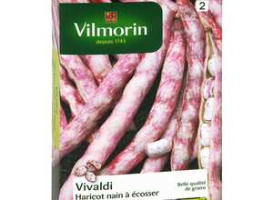 Haricot vivaldi 200 g