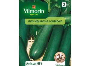 Courgette anissa HF1
