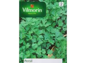 Persil italie novas