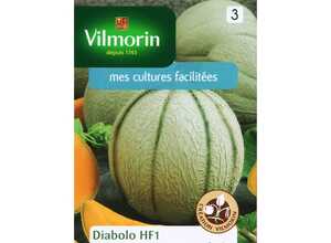 Melon diabolo