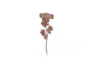 Étiquette Coriandre 34,5 cm