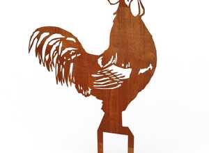 Coq à planter