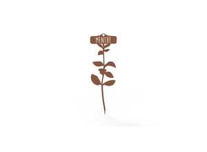 Étiquette Menthe 22,3 cm