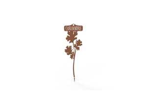 Étiquette Coriandre 22,3 cm