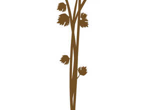 Étiquette Persil 22,3 cm