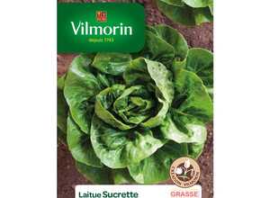 Semences pour laitue de la variété sucrette - 1 m