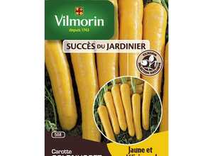 Semences pour carotte hybride de la variété goldnugget  - 2 m