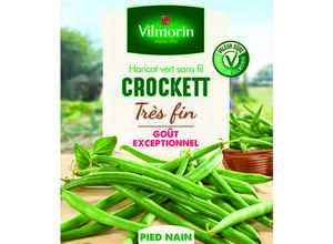 Semences pour haricot nain de la variété crockett - 5 m